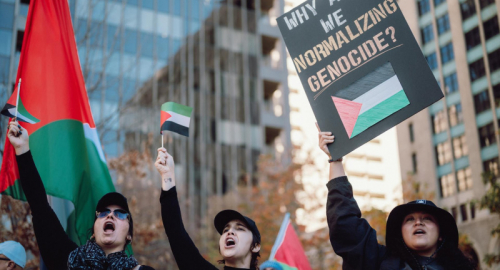 Scontri in Piazza per la Palestina: Un Conflitto che Divide l'Opinione Pubblica e Solleva il Dibattito sui Diritti Civili